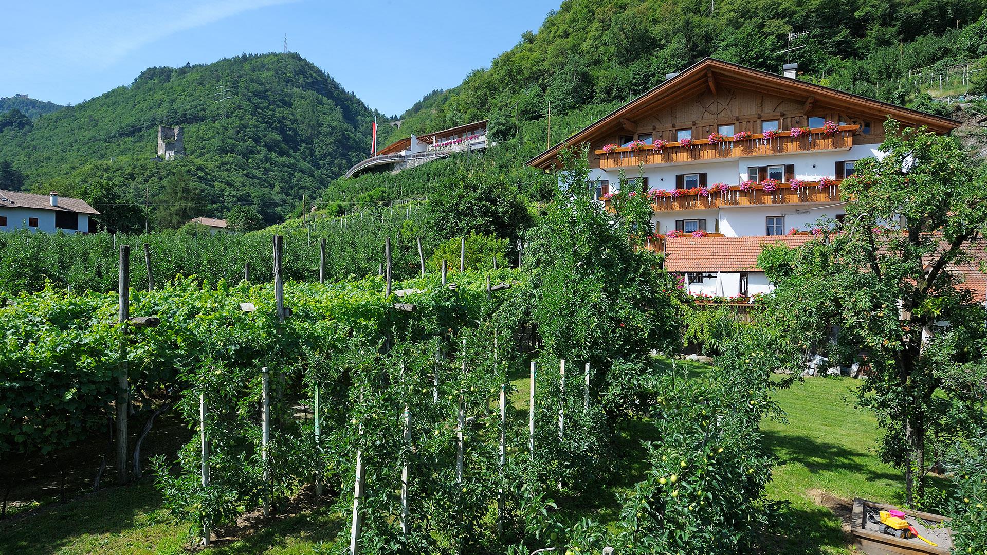 Schrenteweinhof Lana 1 suedtirol.info