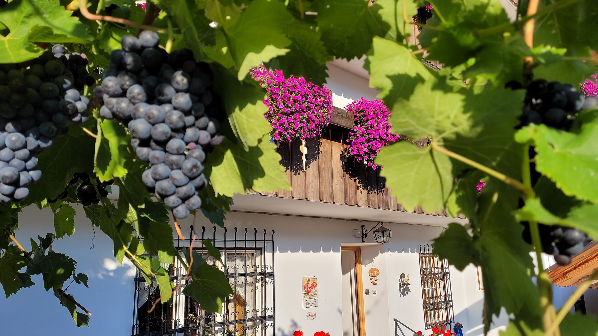 Schrenteweinhof