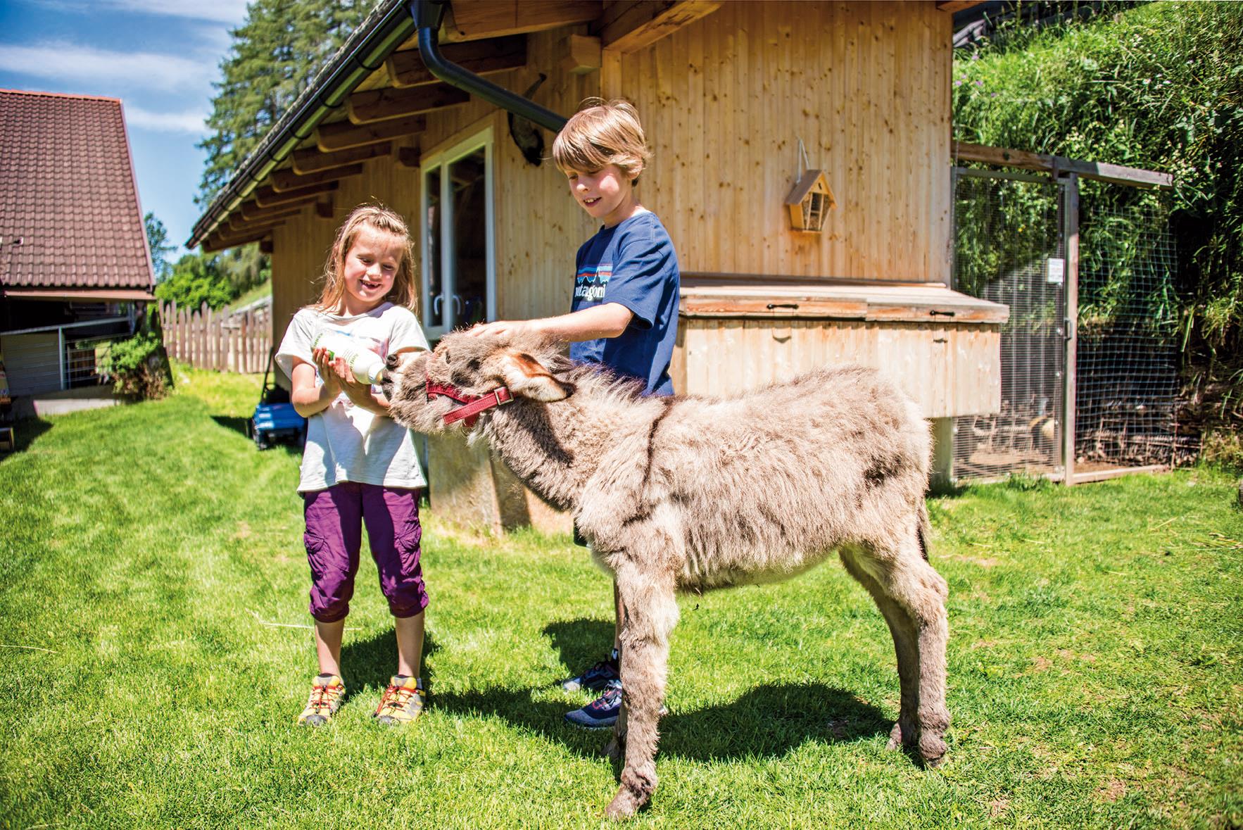 Stabingerhof Sexten 18 suedtirol.info