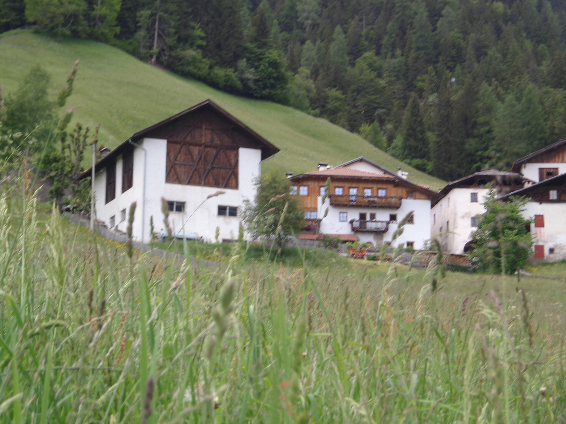 Stofflhof