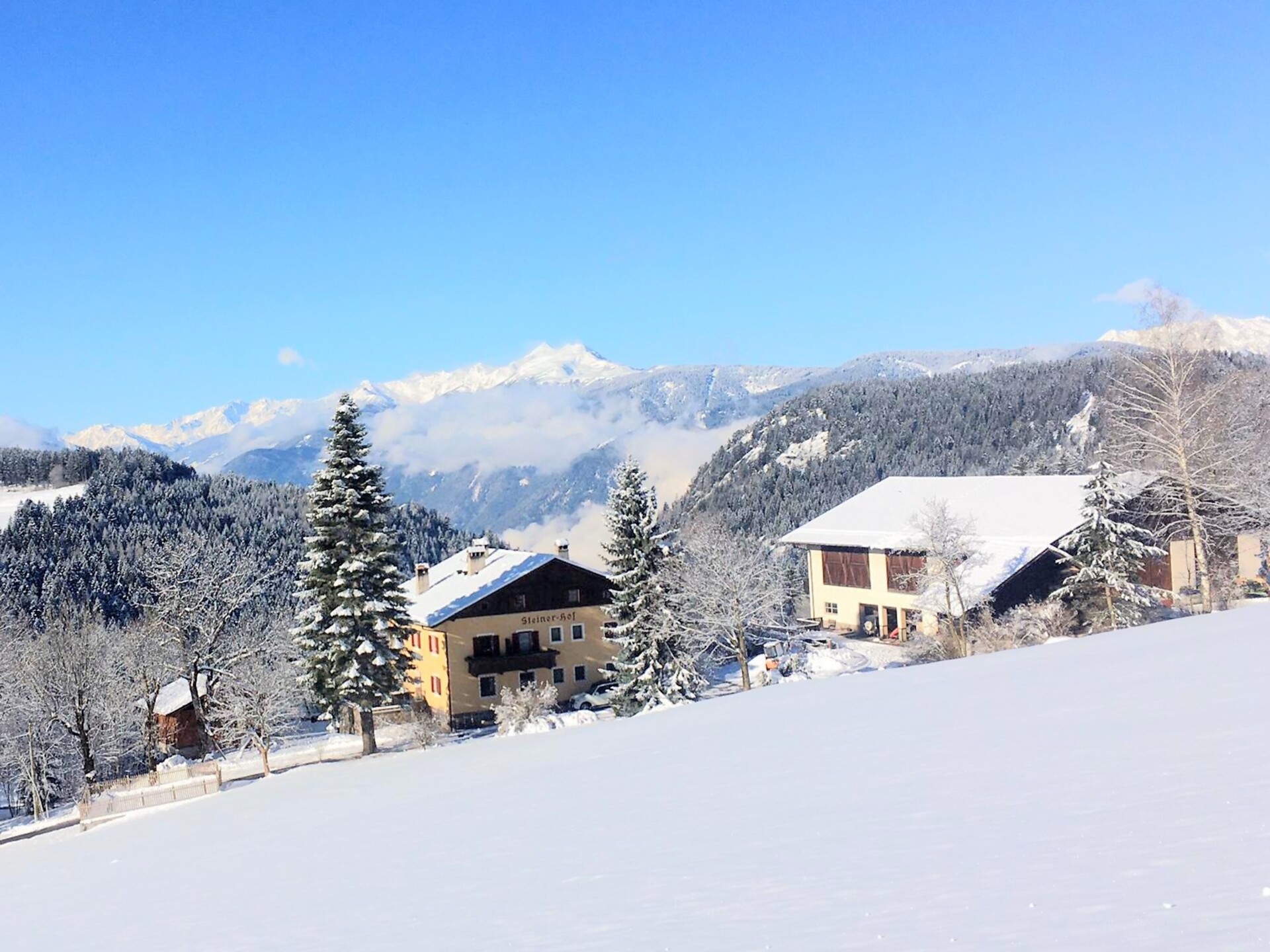 Steinerhof in the winter