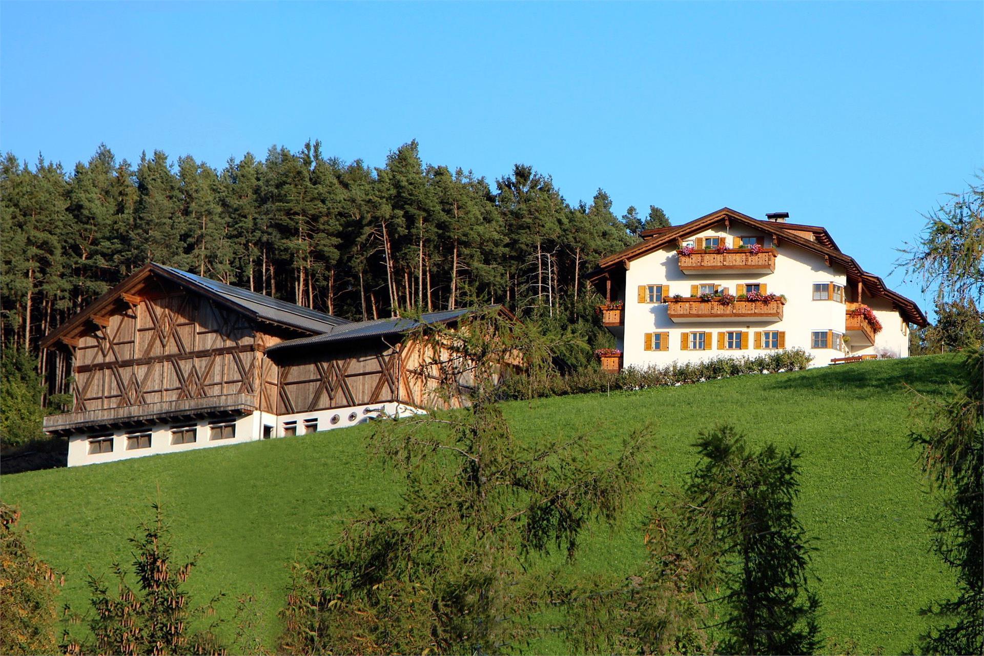 Spisserhof Klausen 1 suedtirol.info