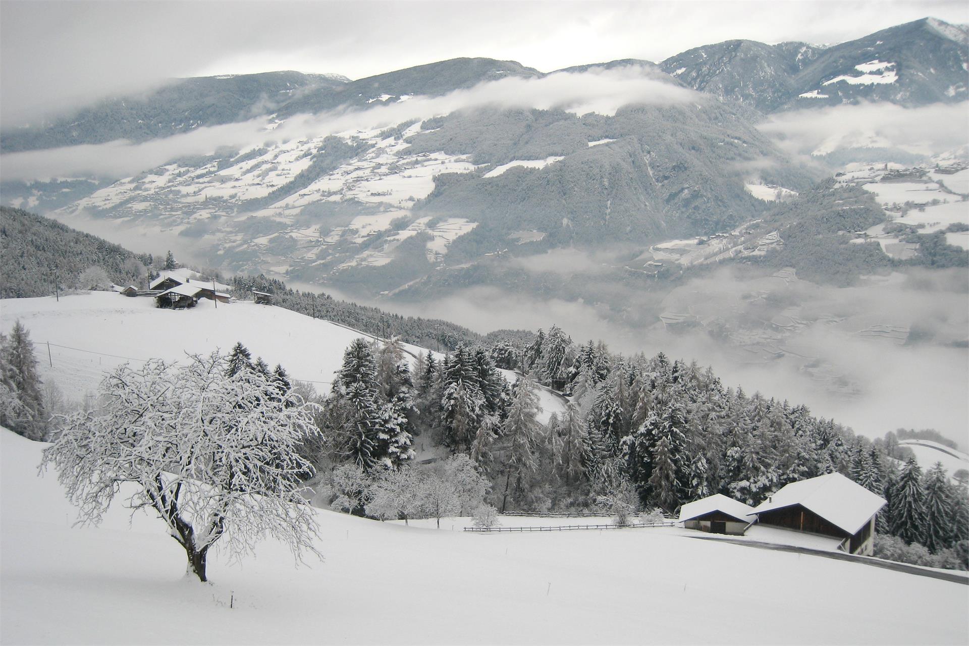 Spisserhof Klausen 21 suedtirol.info