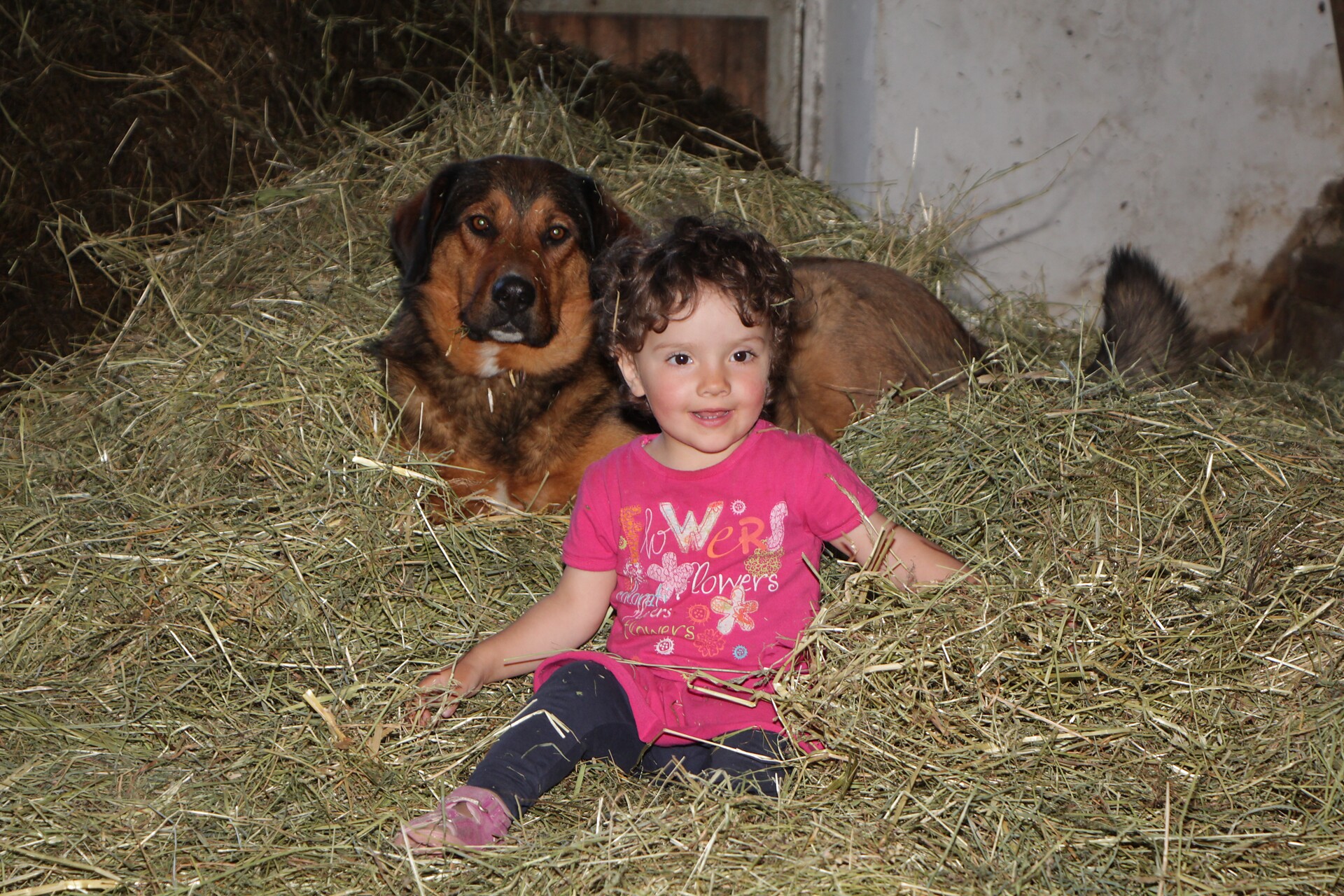 Sandra in hay