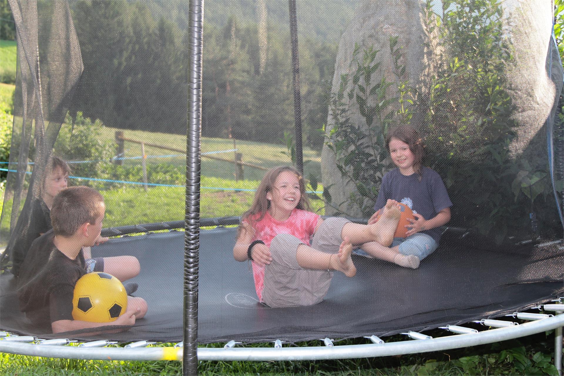 Spisserhof Klausen 18 suedtirol.info