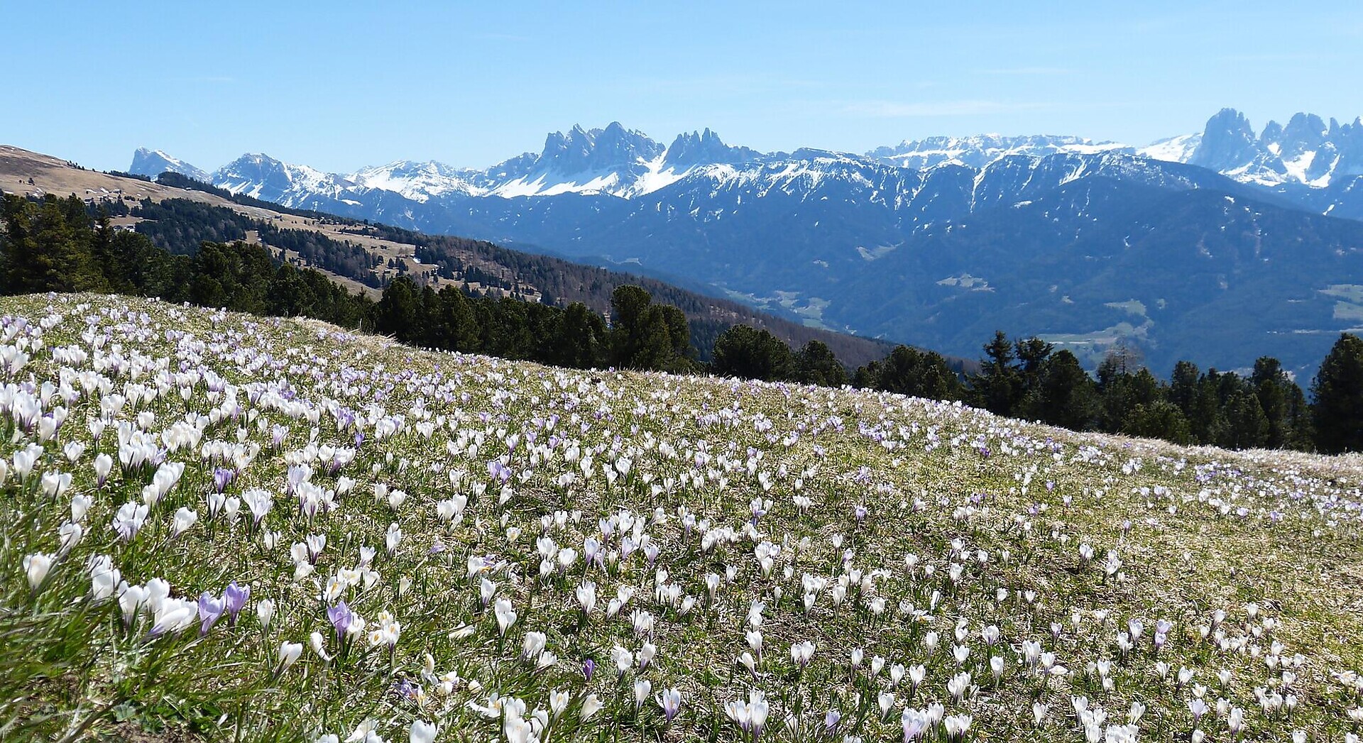 Rifugio Chiusa al Campaccio