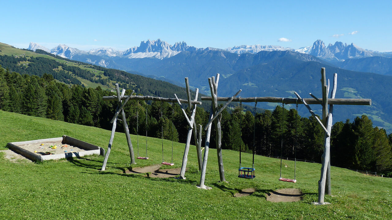 Slide 8
