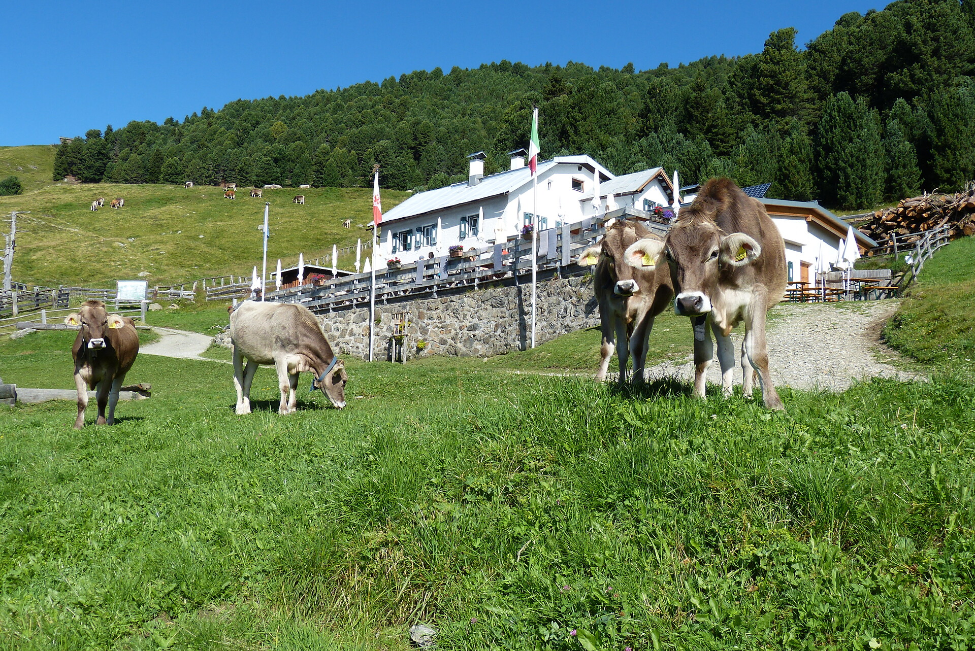 Rifugio Chiusa al Campaccio