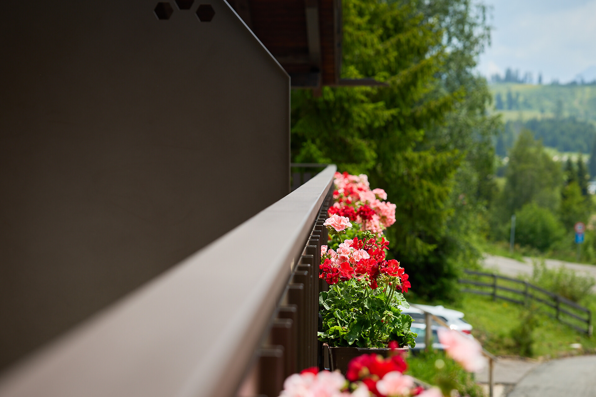 Sirena Carezza Apartments - Dolomites Region Eggental - #22 - suedtirol.info