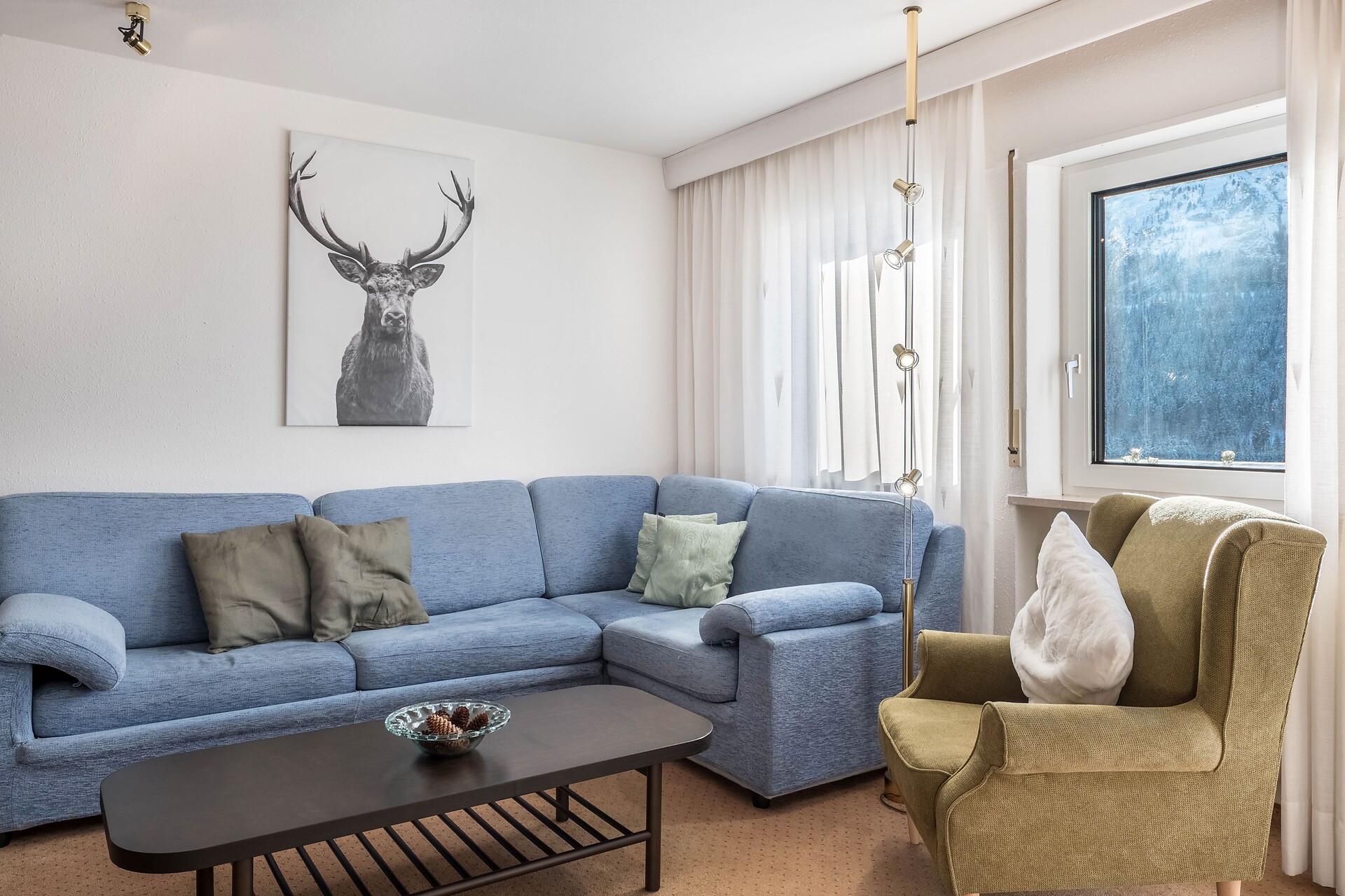 Wohnraum mit Schlafcouch