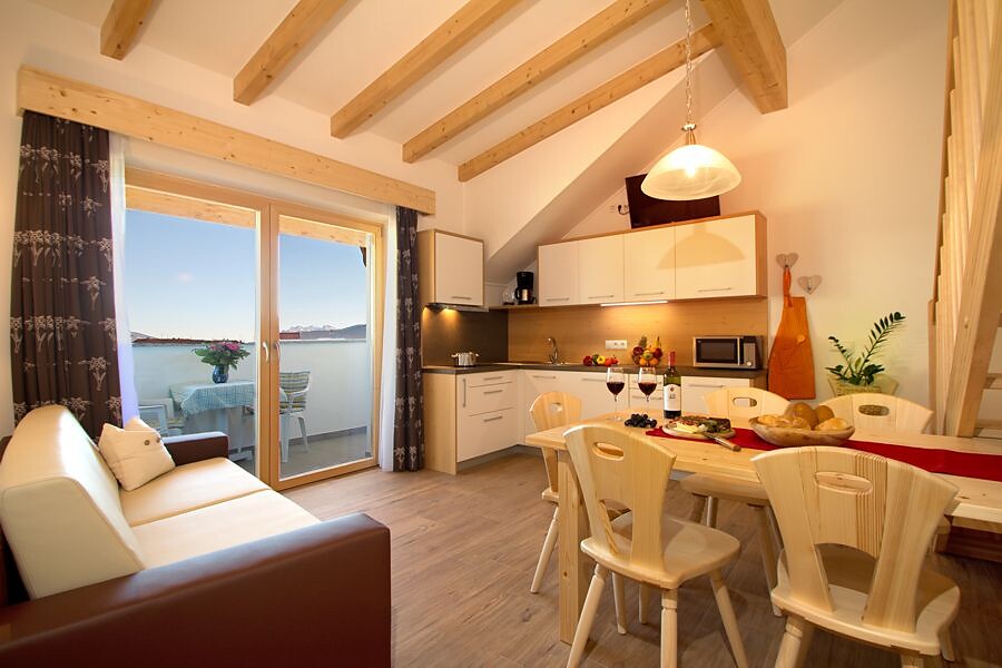Kitchen and living room with sofa bed