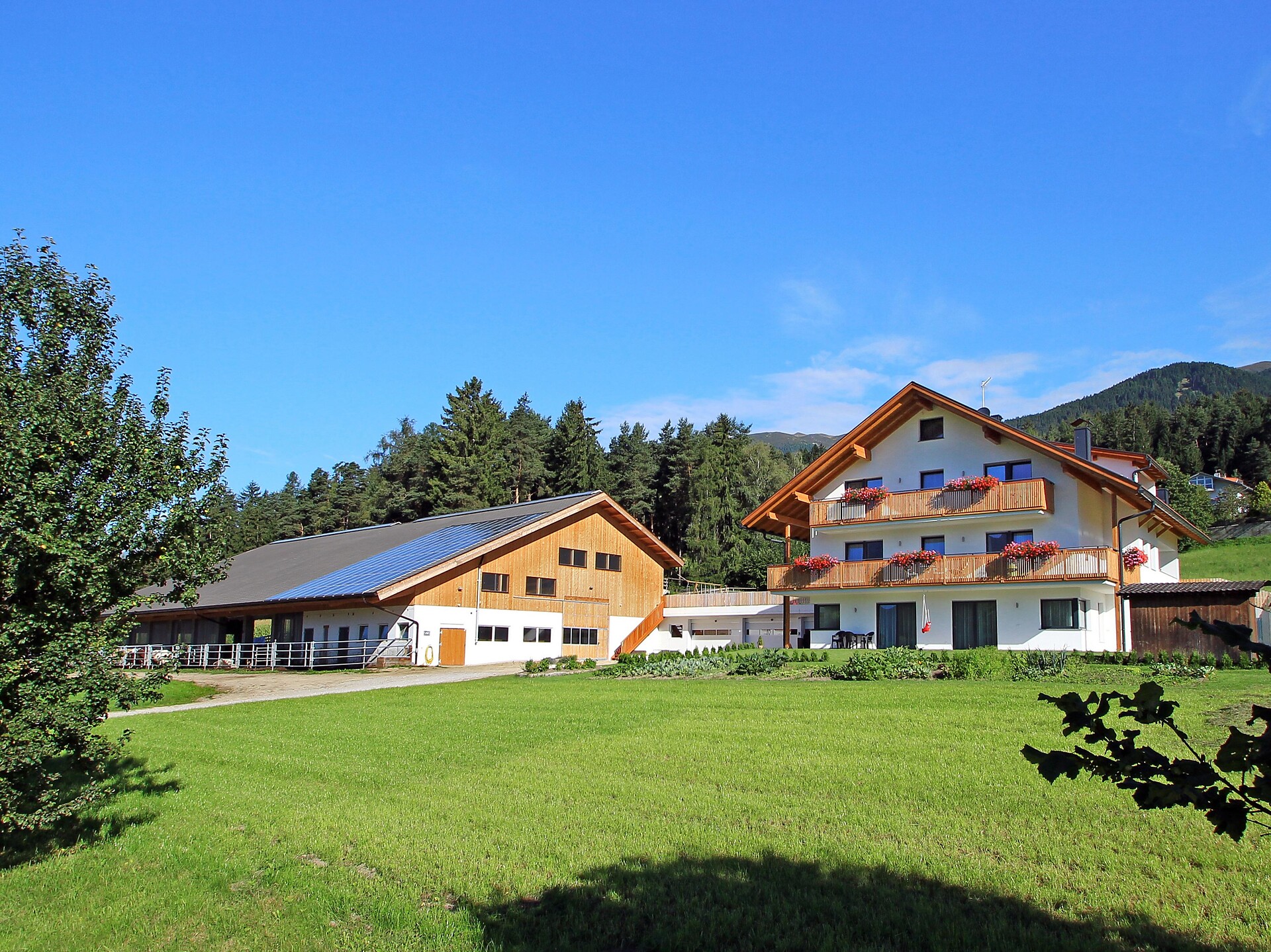 Stiflerhof