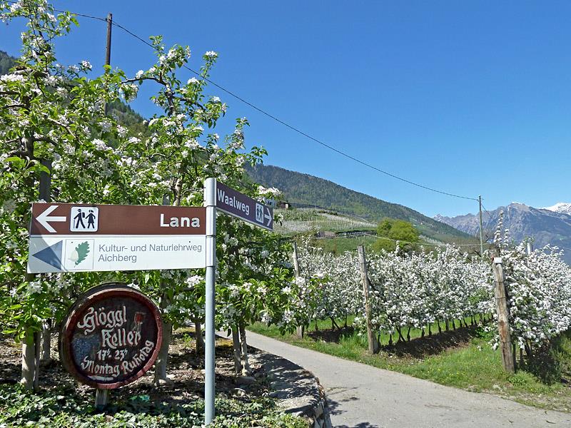 Sonnenapartment Lana 16 suedtirol.info