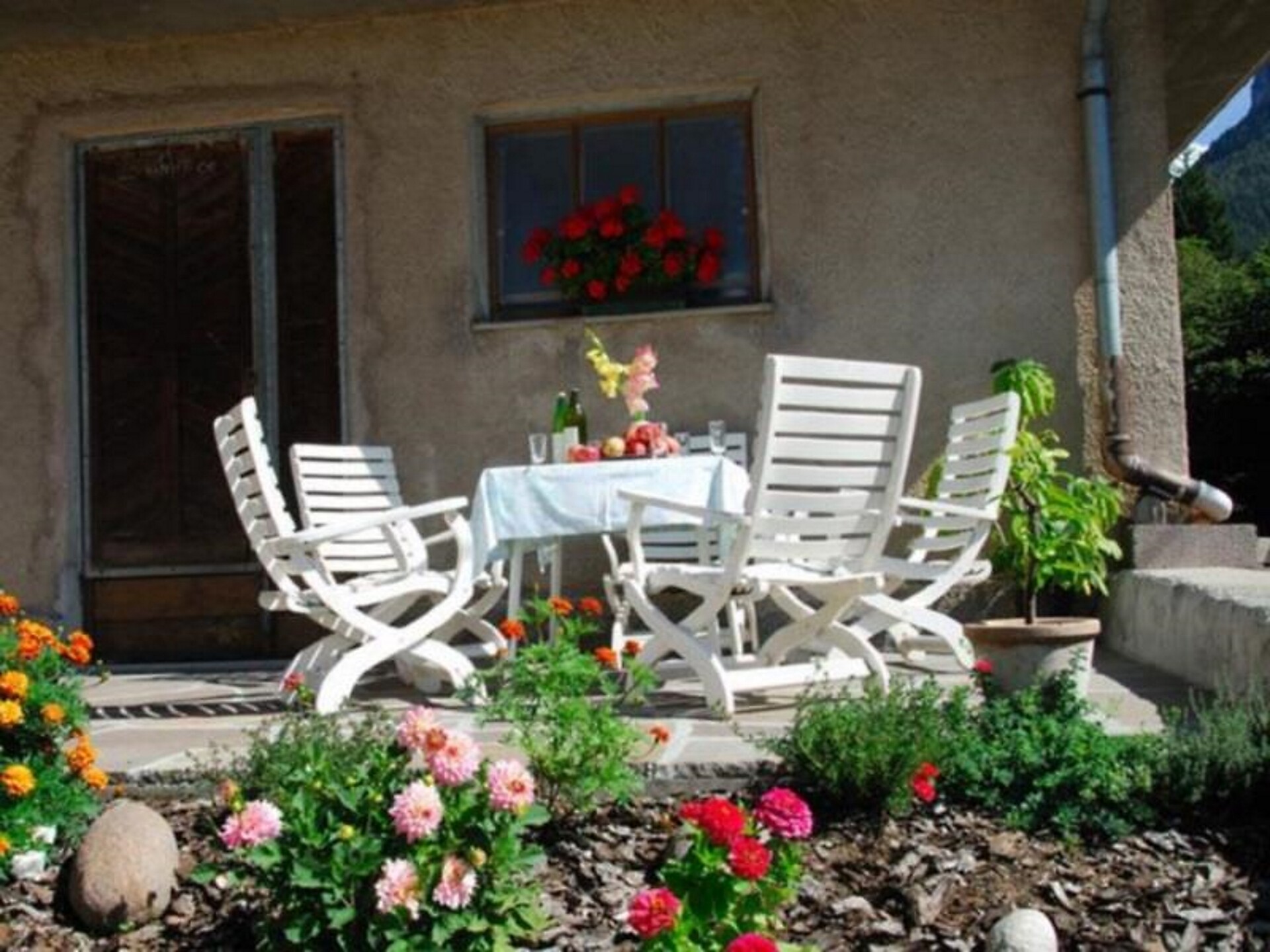 lounge in the garden