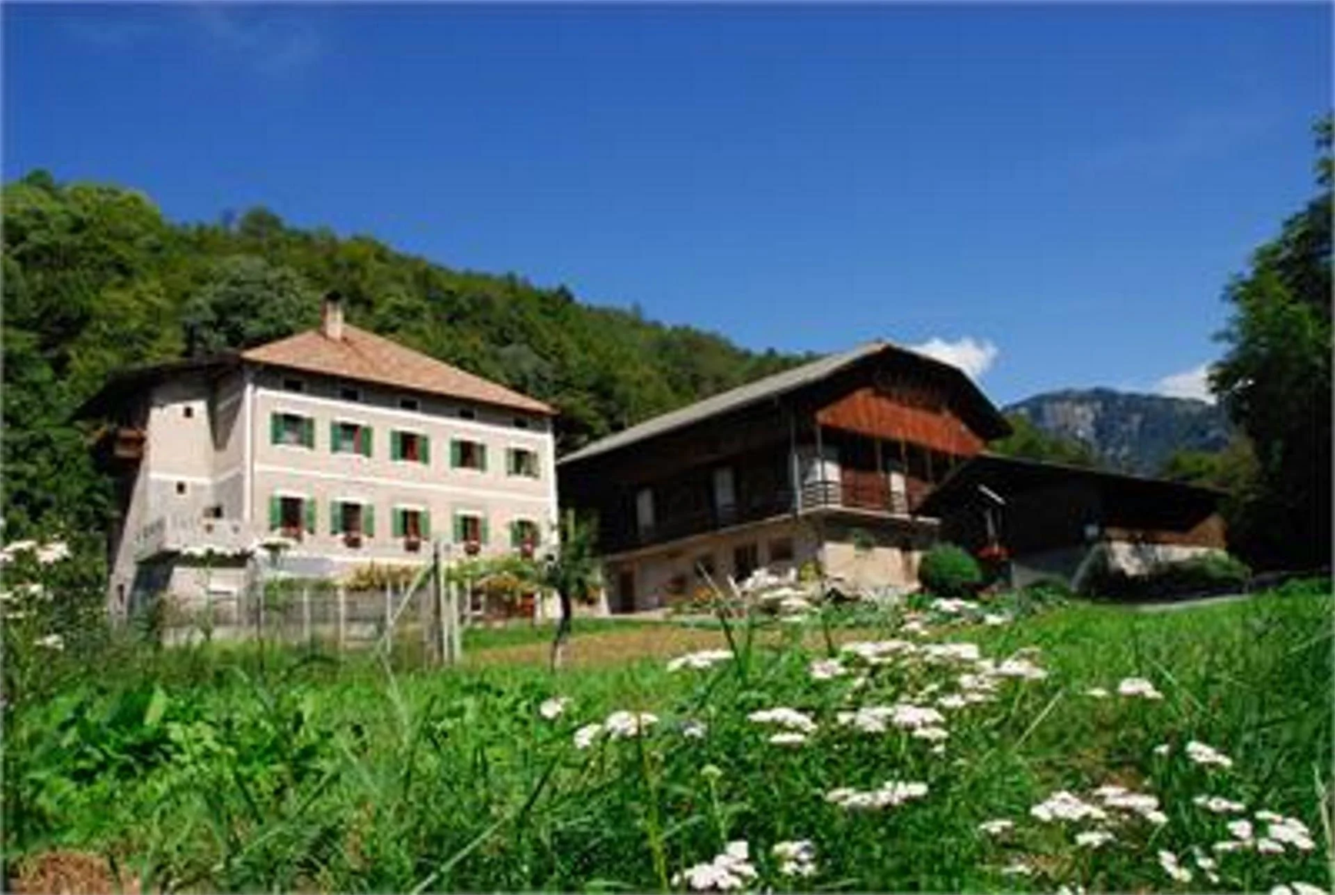 Simmele Müllerhof Castelrotto 1 suedtirol.info