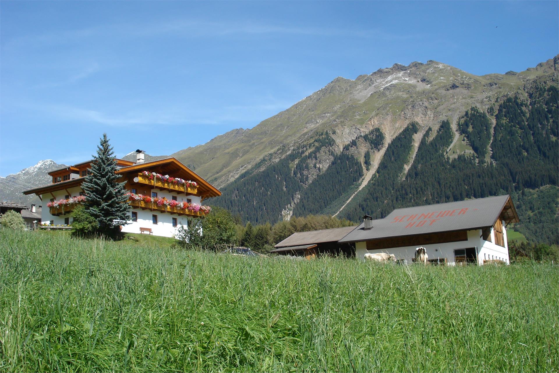 Schneiderhof Ratschings 4 suedtirol.info