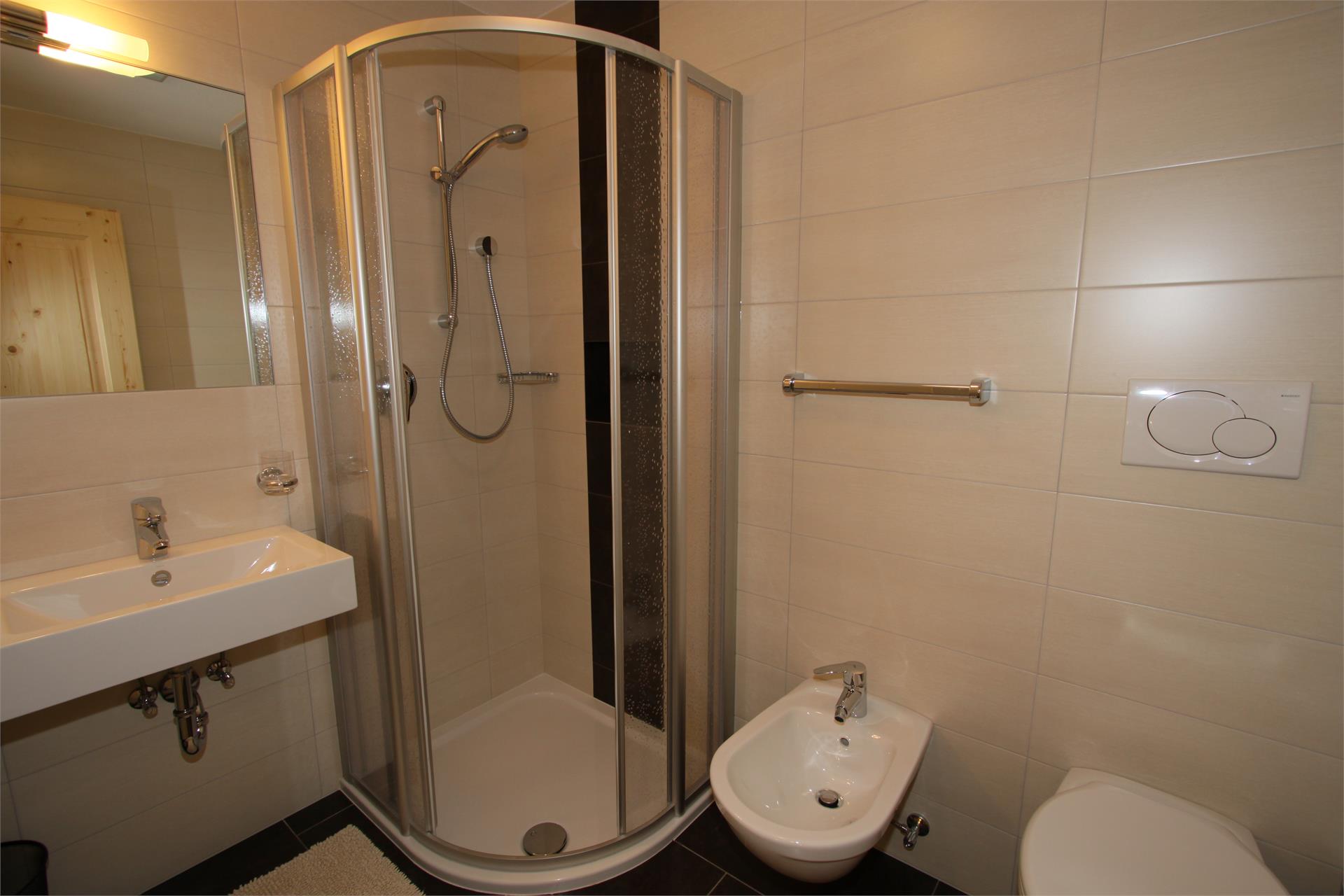 Silva Apartments Ahrntal 20 suedtirol.info