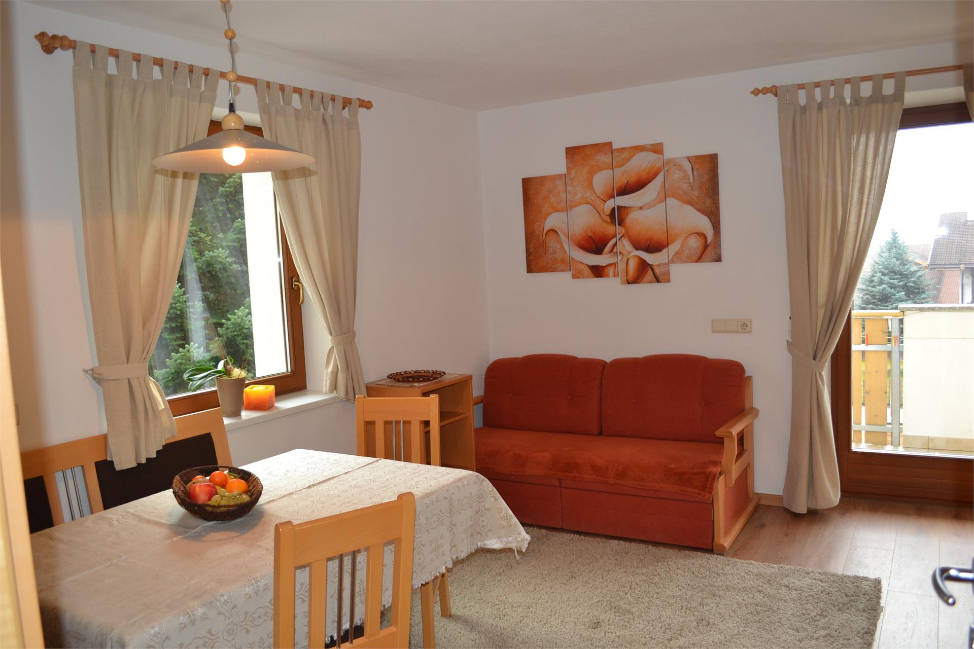 Silva Apartments Ahrntal 19 suedtirol.info