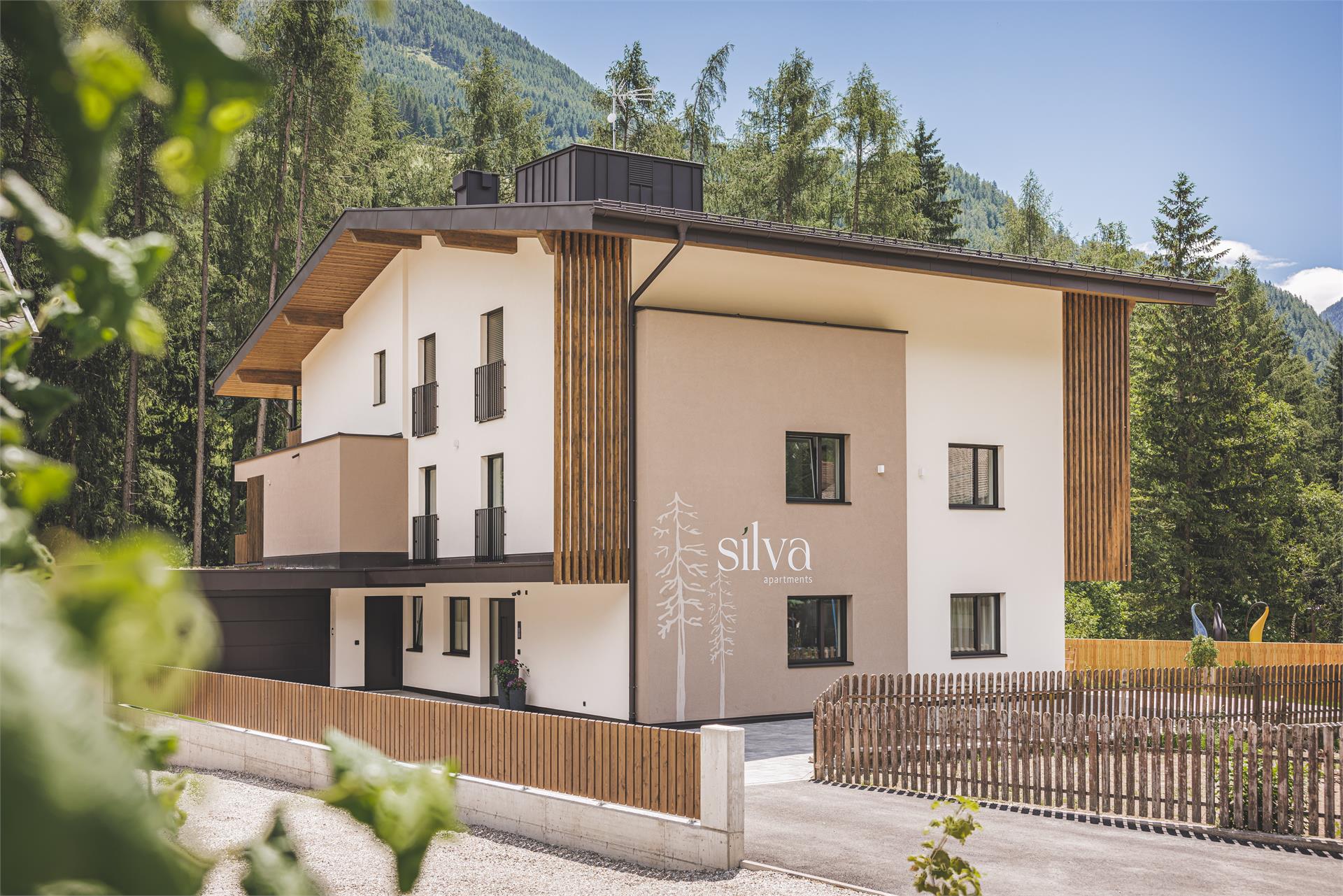 Silva Apartments Ahrntal 3 suedtirol.info