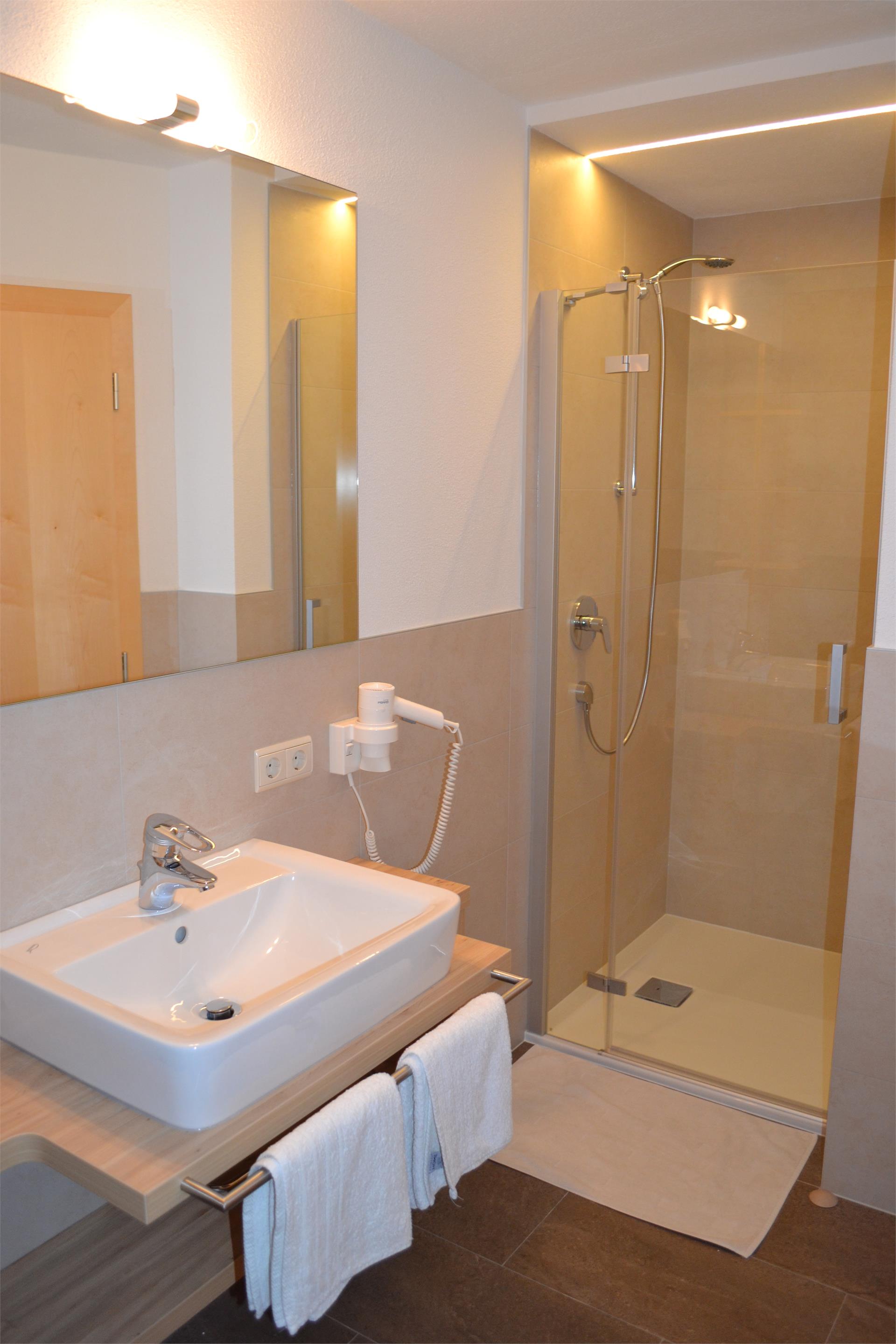 Silva Apartments Ahrntal 18 suedtirol.info