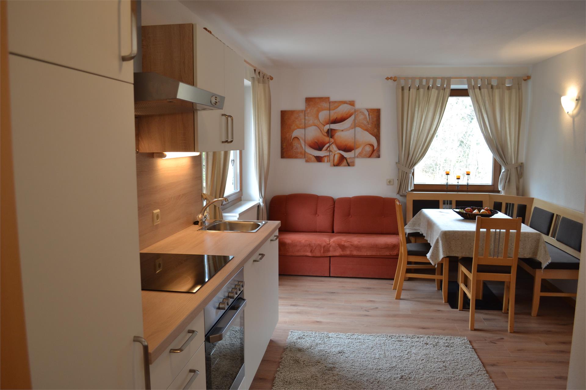 Silva Apartments Ahrntal 23 suedtirol.info