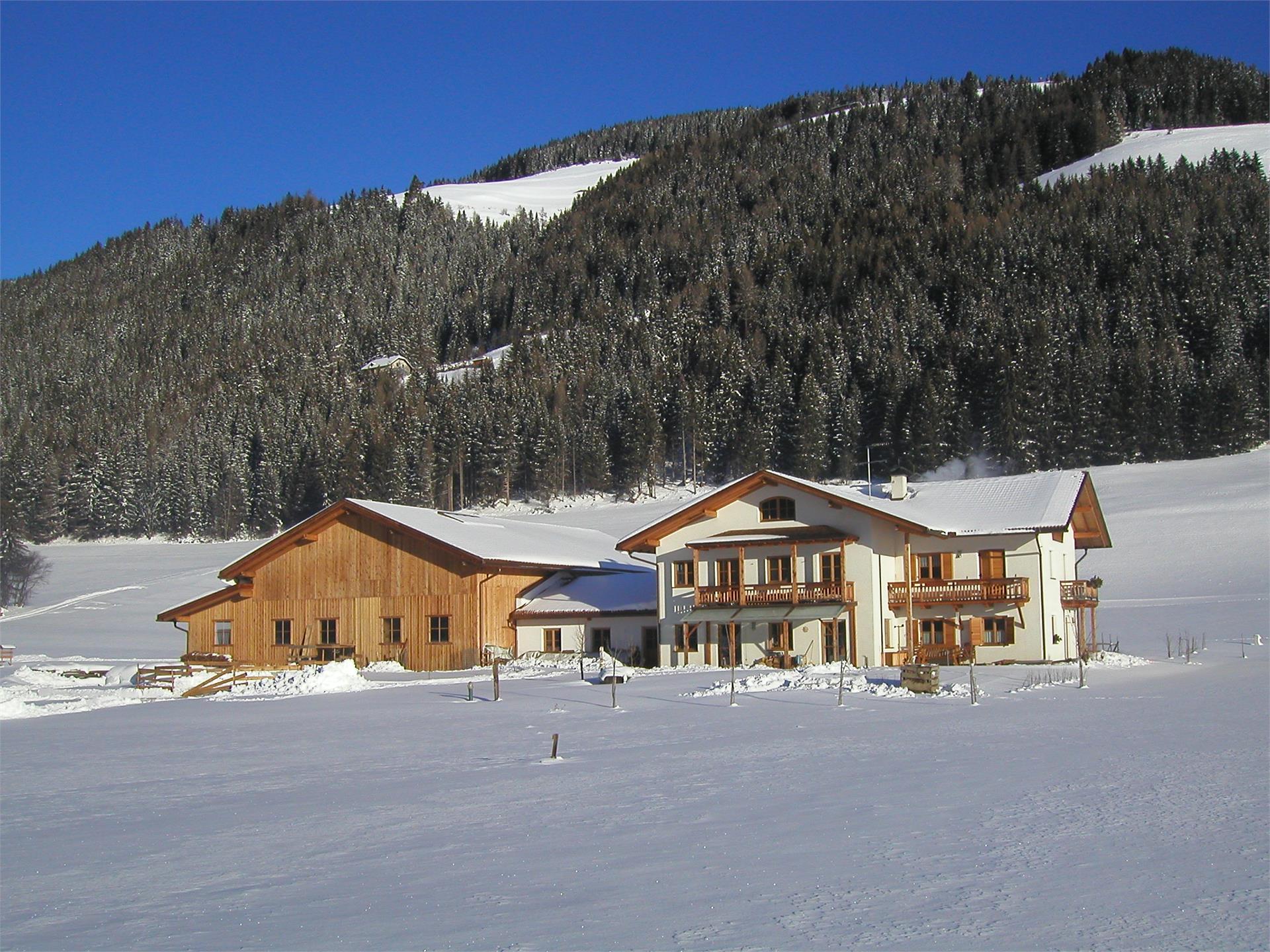 Stifterhof Niederdorf 5 suedtirol.info