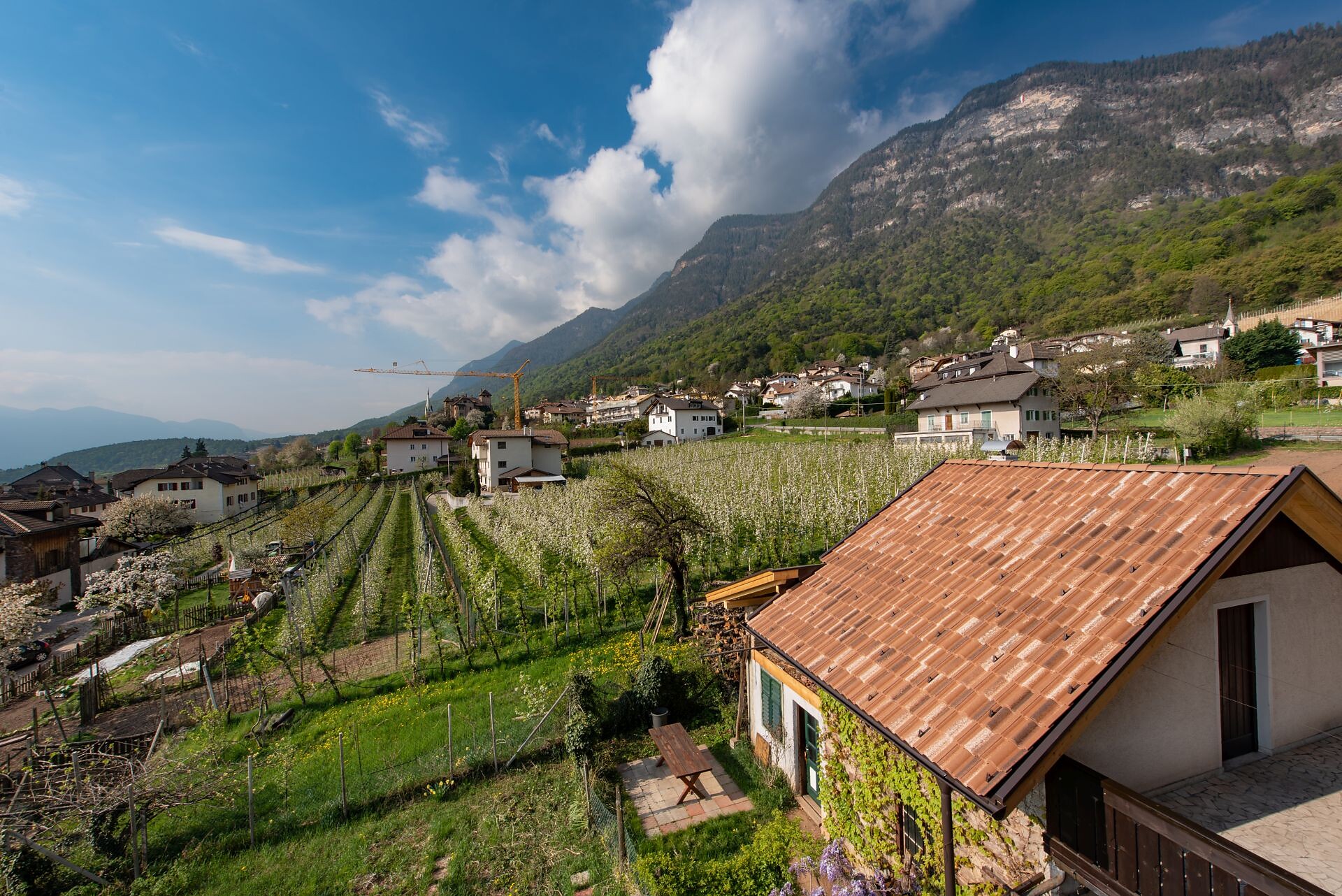 Panorama view