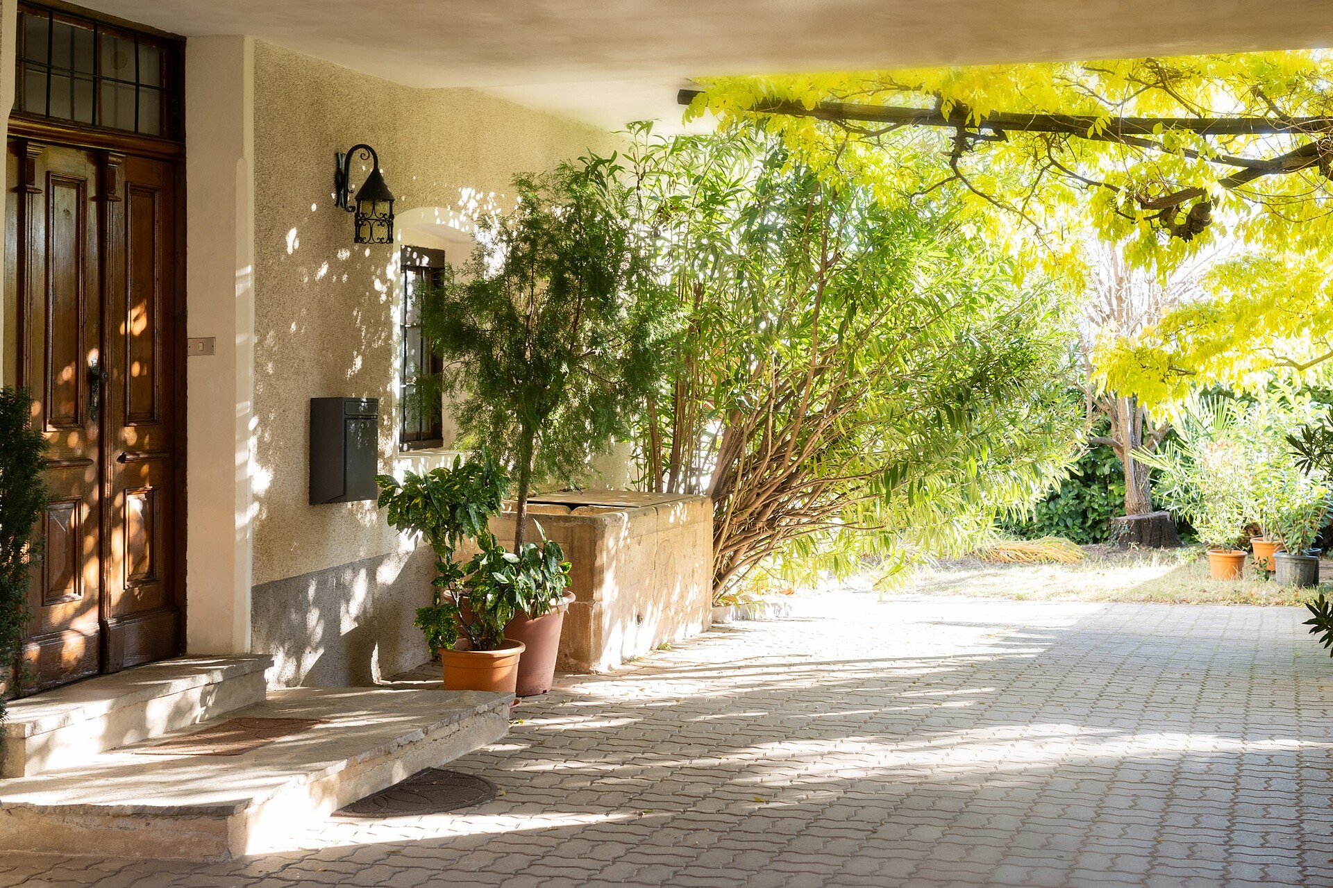 Garden
