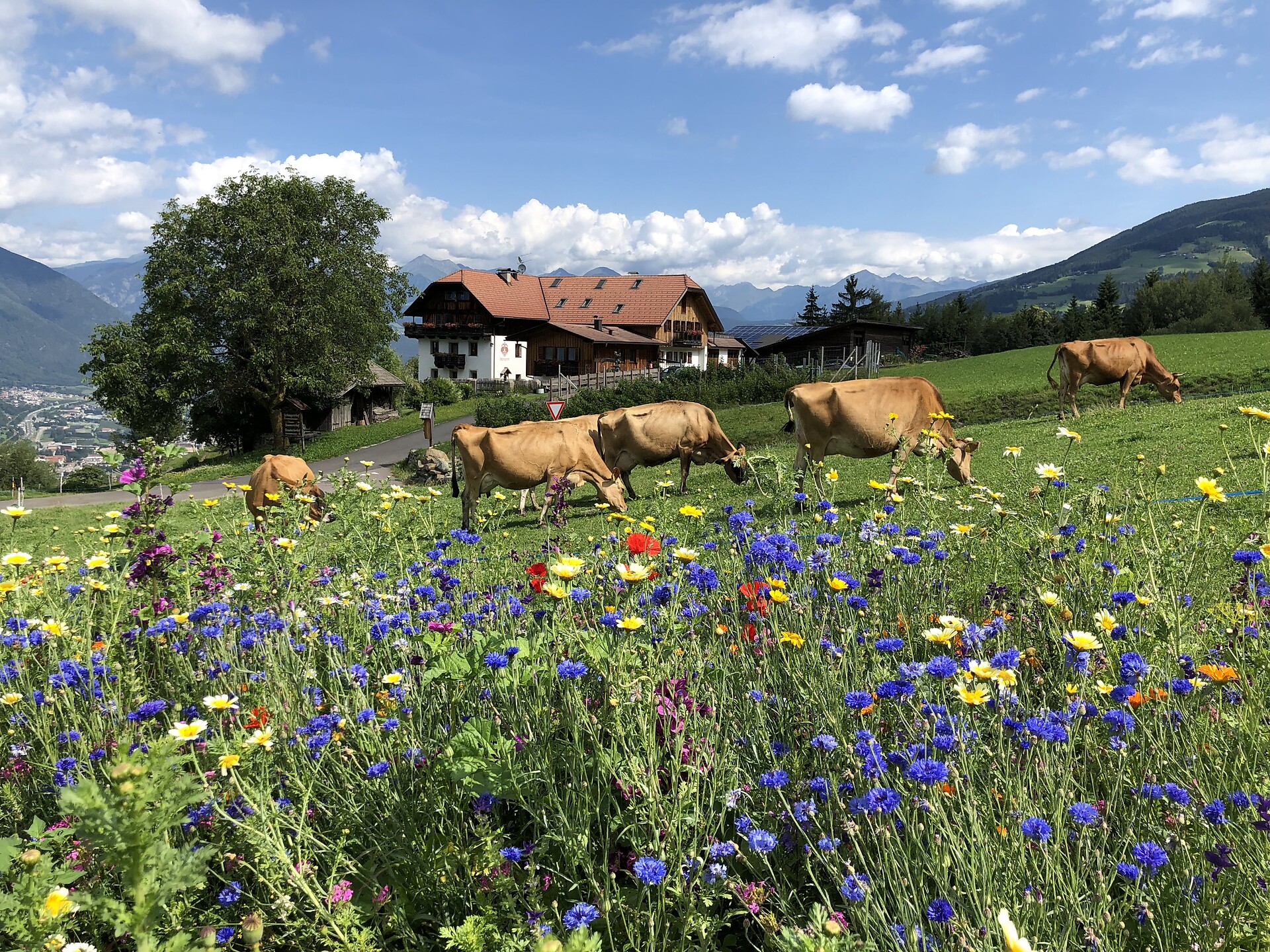 Schnagererhof