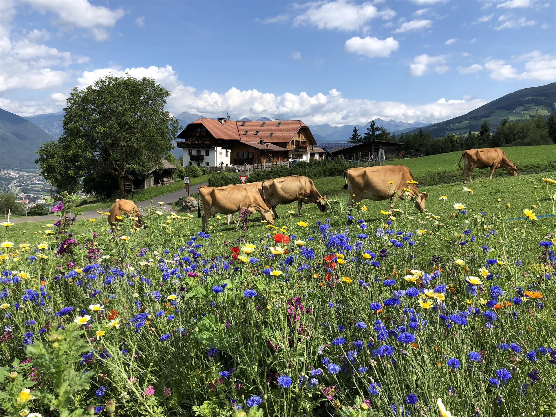Schnagererhof Brixen 4 suedtirol.info