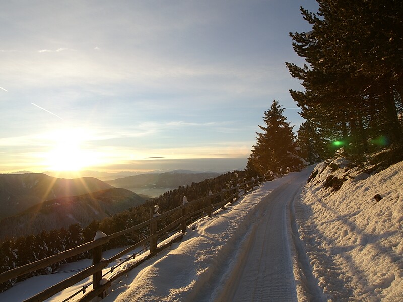 Path
