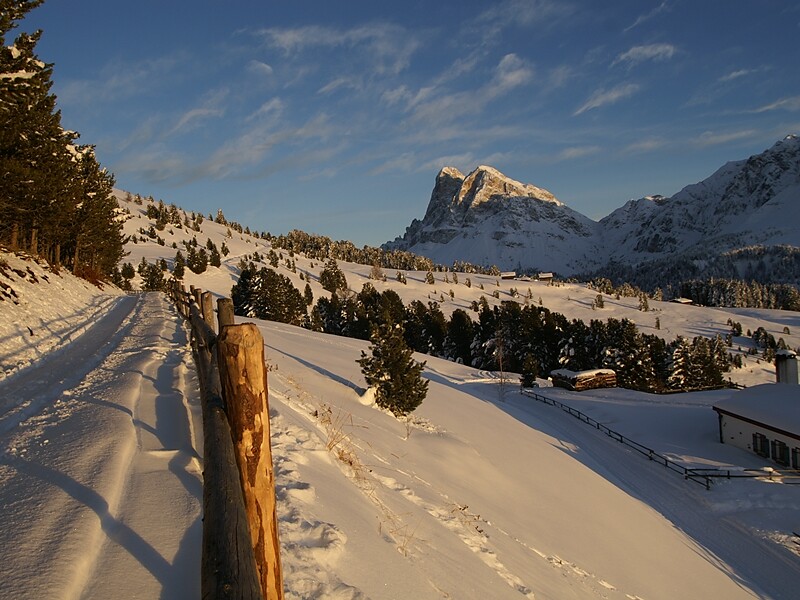 Path to the Schatzerhütte