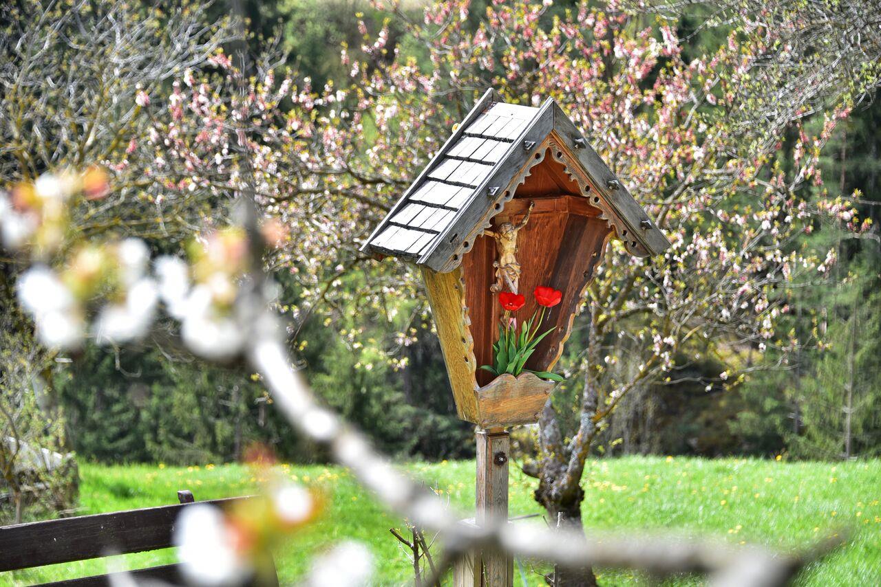 Saderhof Brixen 8 suedtirol.info