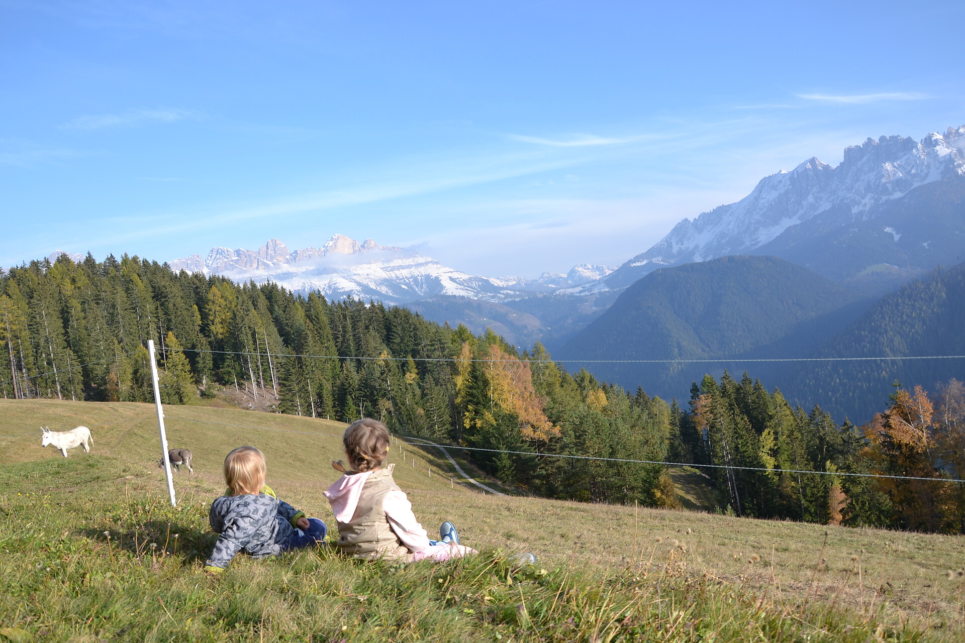 Herbst