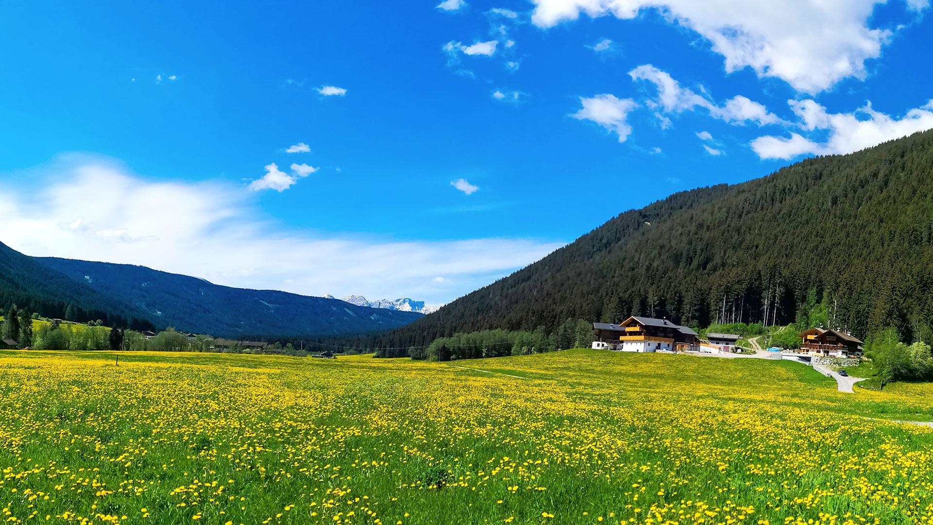 Steineggerhof Gsies 22 suedtirol.info
