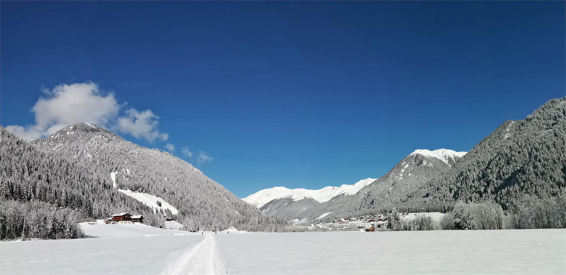 Steineggerhof Gsies 12 suedtirol.info