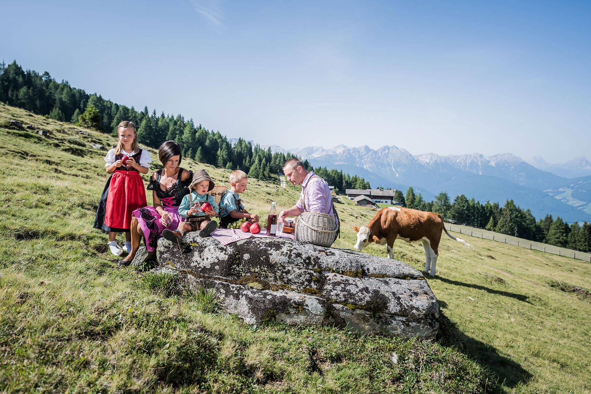 Steineggerhof Gsies 7 suedtirol.info
