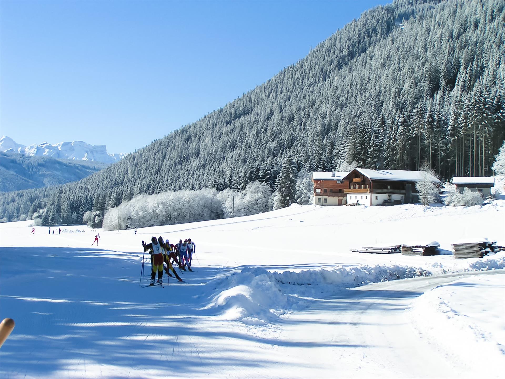 Steineggerhof Gsies 17 suedtirol.info