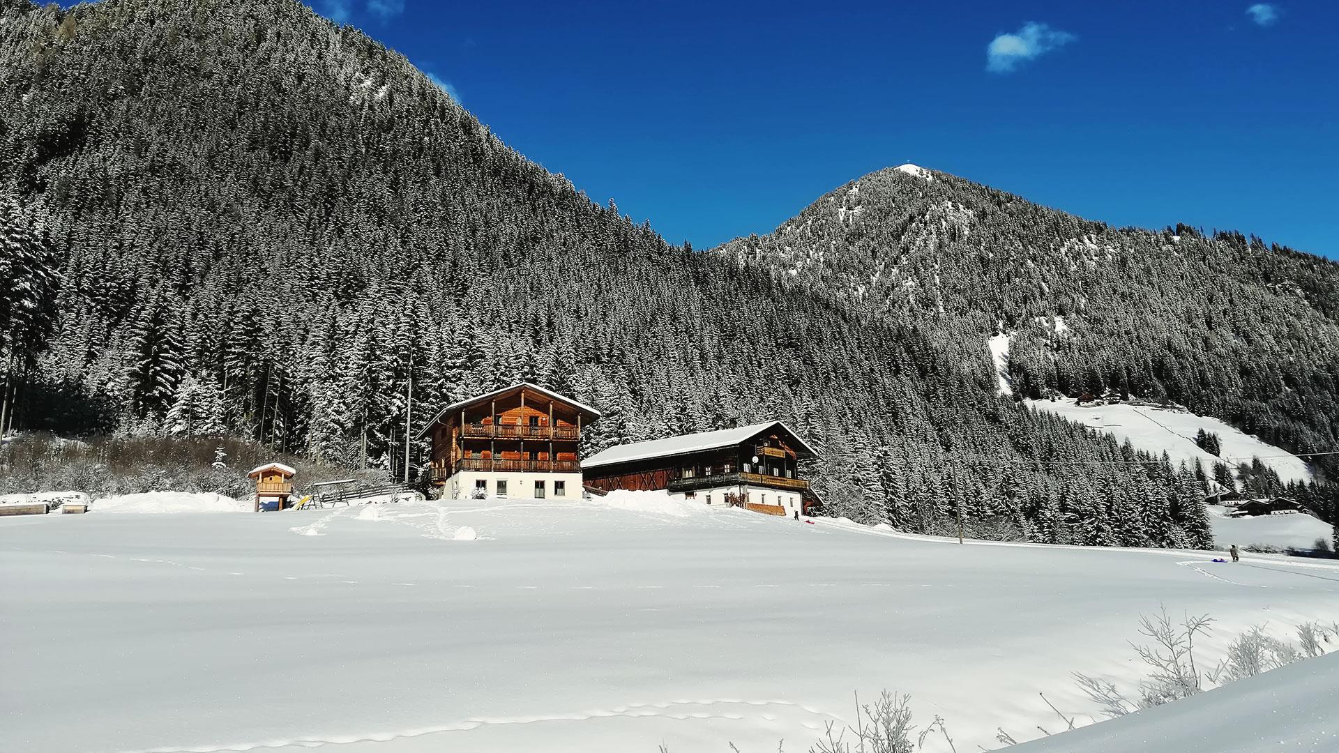 Steineggerhof Gsies 9 suedtirol.info