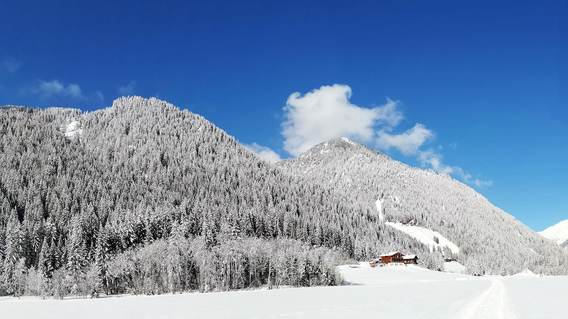 Steineggerhof Gsies 10 suedtirol.info