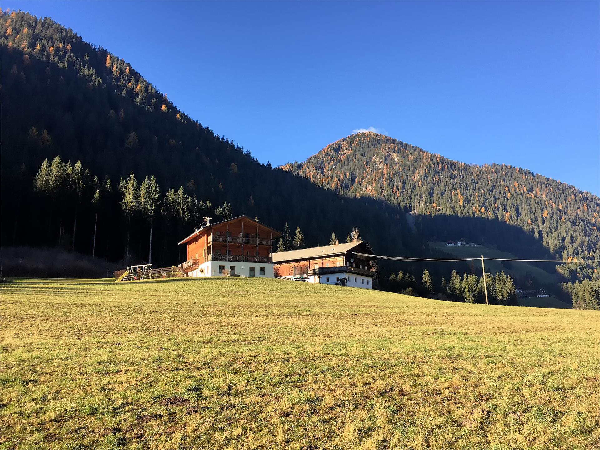 Steineggerhof Gsies 16 suedtirol.info