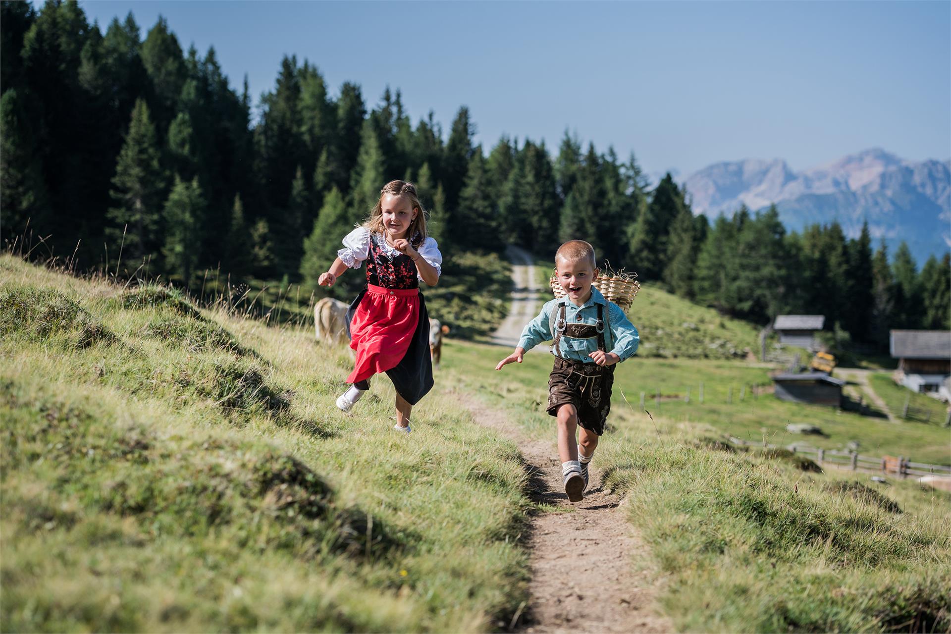 Steineggerhof Gsies 14 suedtirol.info