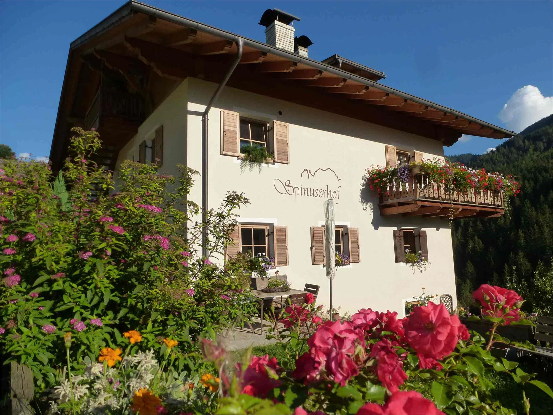 Spinuserhof Tiers am Rosengarten/Tires al Catinaccio 2 suedtirol.info