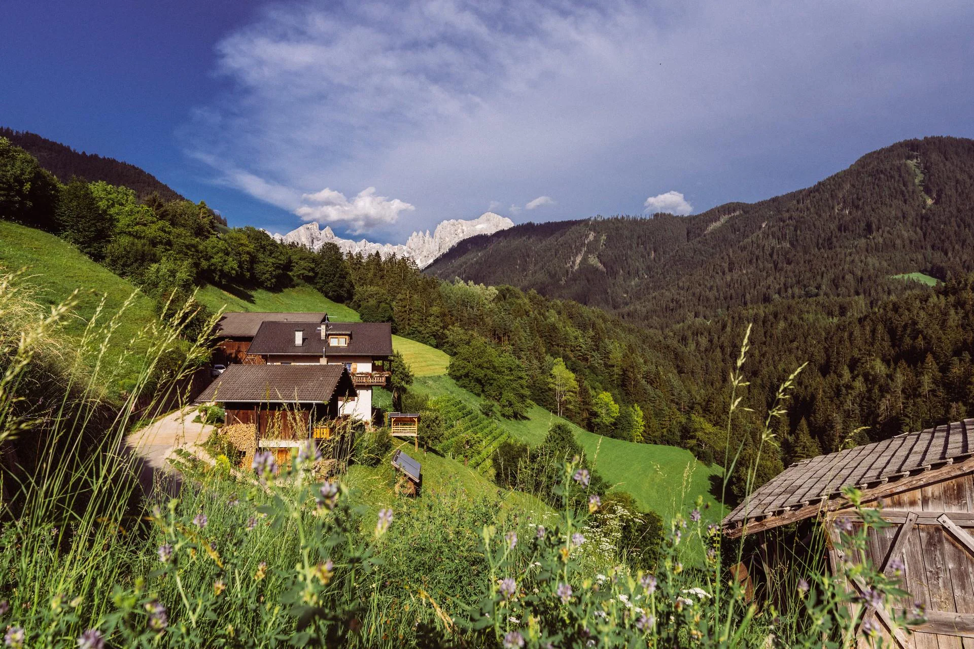 Spinuserhof Tiers am Rosengarten/Tires al Catinaccio 3 suedtirol.info