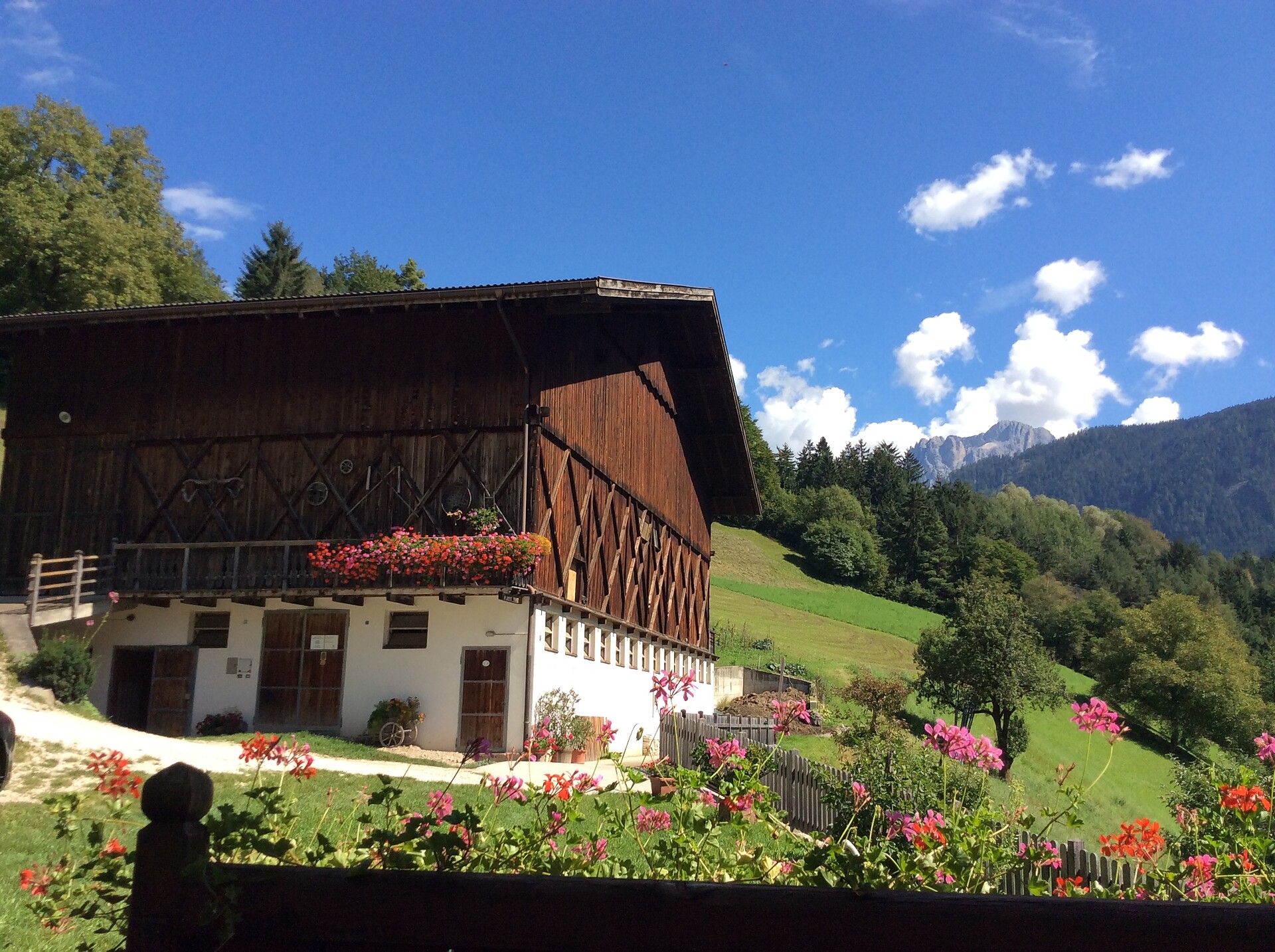 Spinuserhof - Dolomites Region Seiser Alm - #20 - suedtirol.info