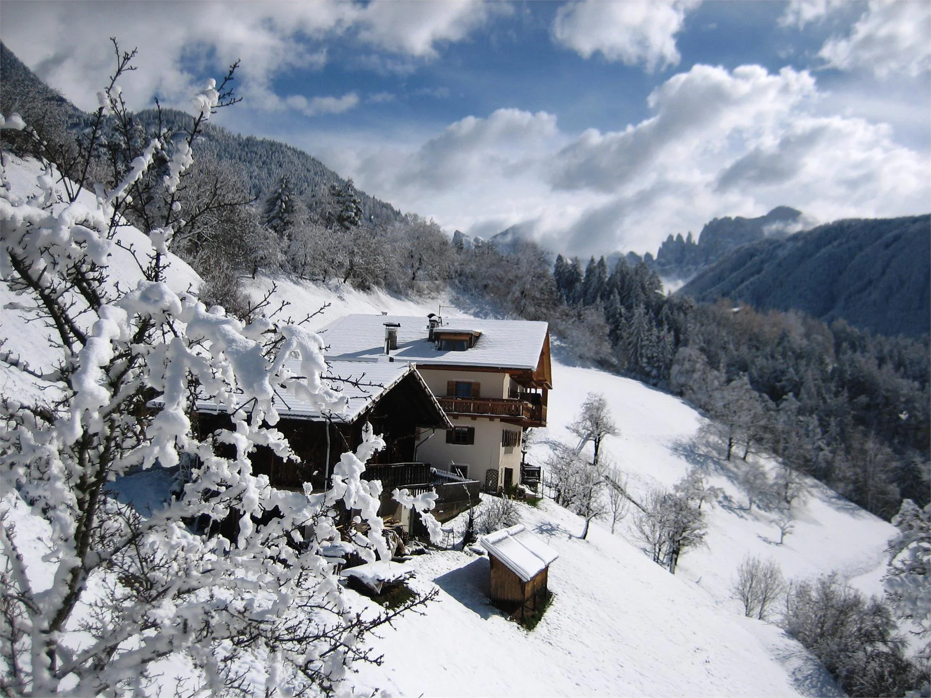 Spinuserhof Tiers am Rosengarten/Tires al Catinaccio 5 suedtirol.info