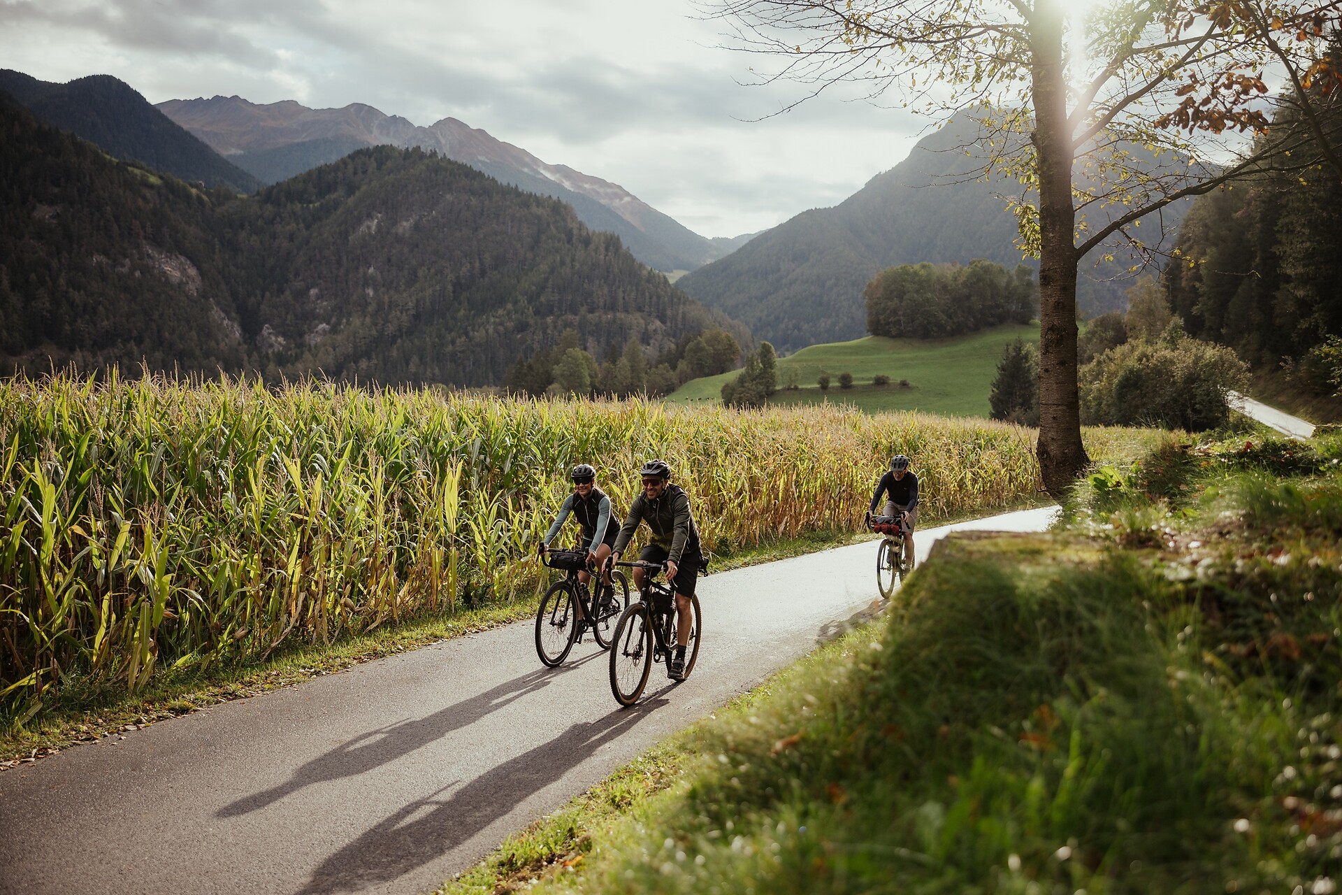 piste ciclabili