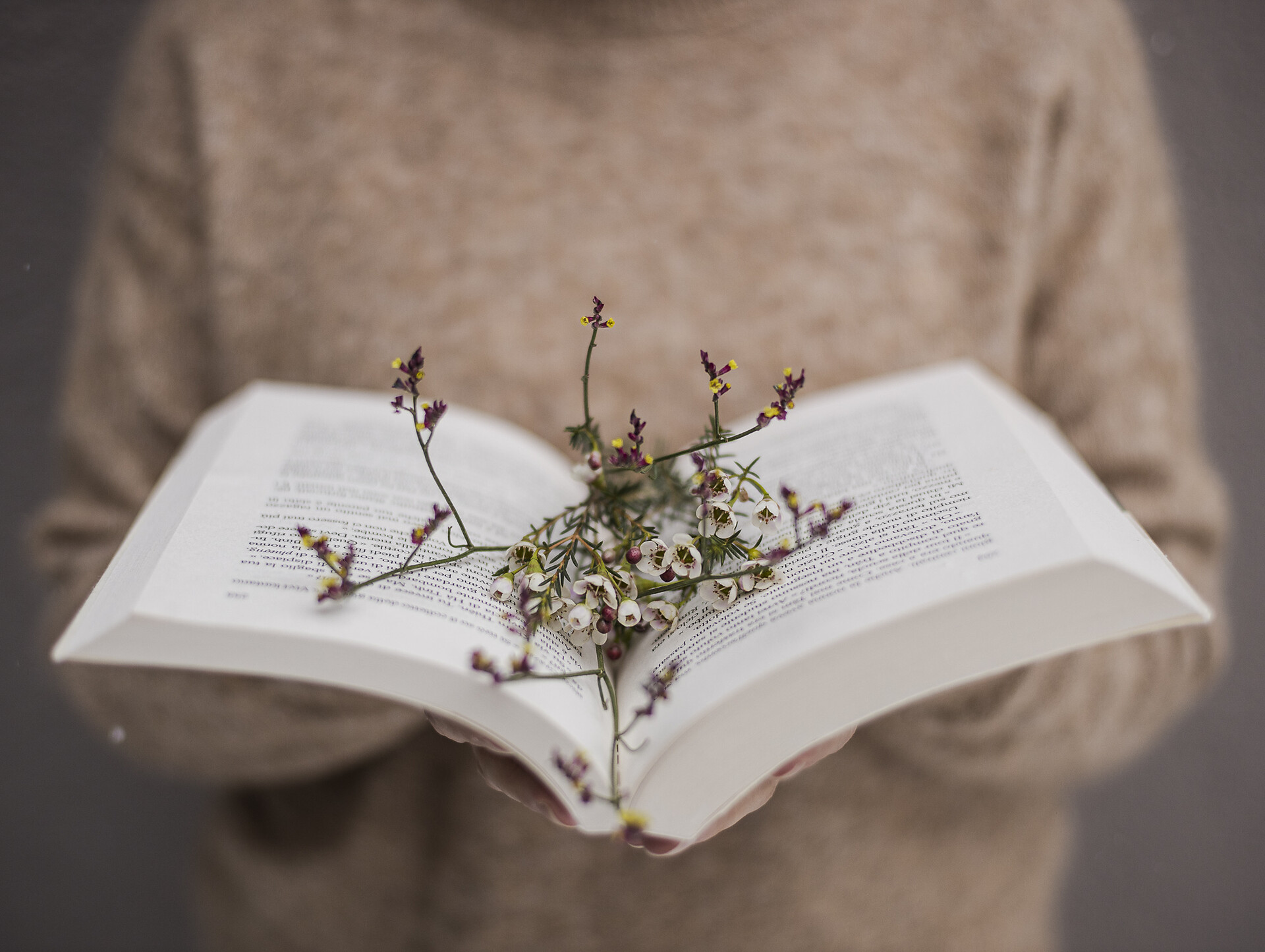 Literatur