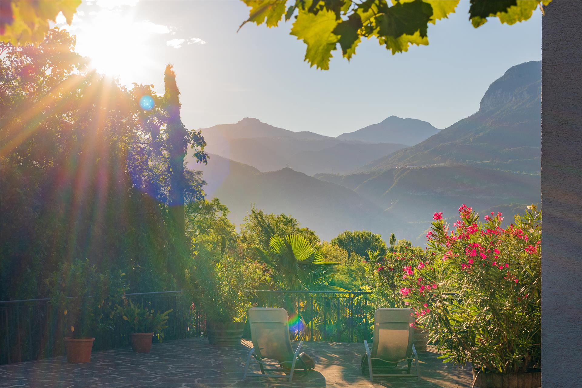 Sandhof Tramin an der Weinstraße/Termeno sulla Strada del Vino 10 suedtirol.info