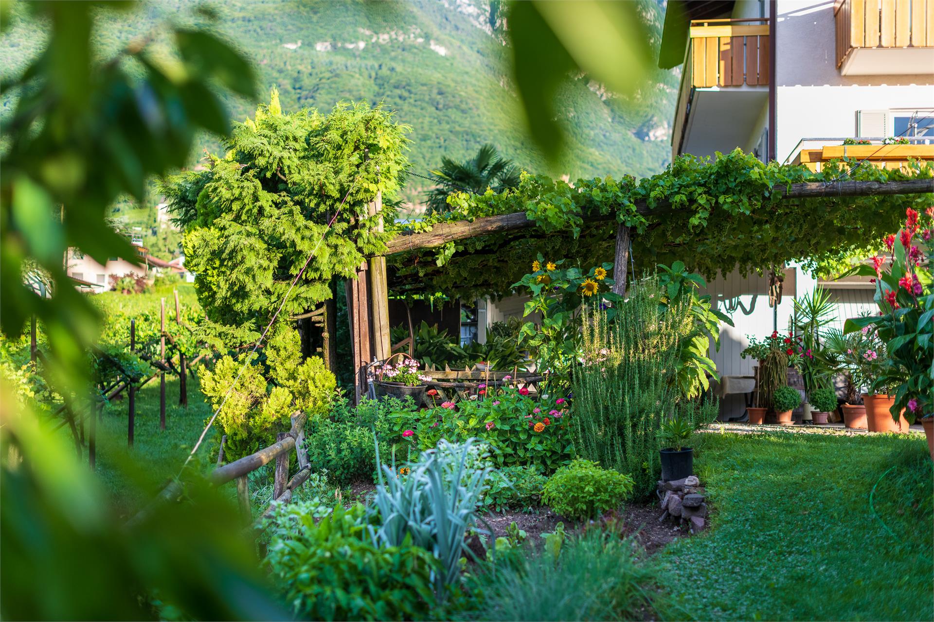 Sandhof Tramin an der Weinstraße/Termeno sulla Strada del Vino 4 suedtirol.info